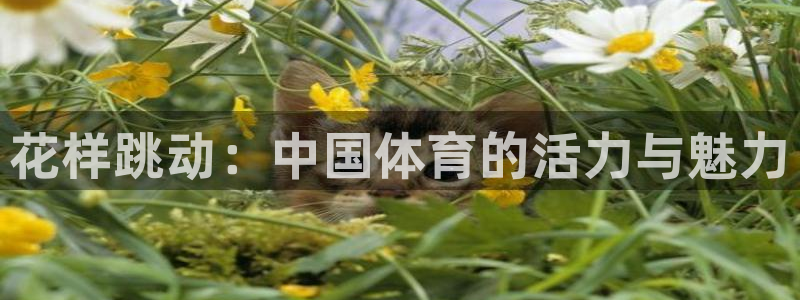 MK体育官方正版app娱乐:花样跳动:中国体育的活力与魅力