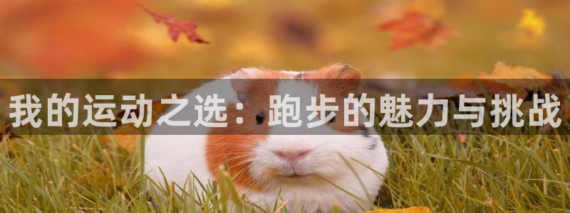 MK体育官网下载招商电话号码是多少号:我的运动之选:跑步的魅